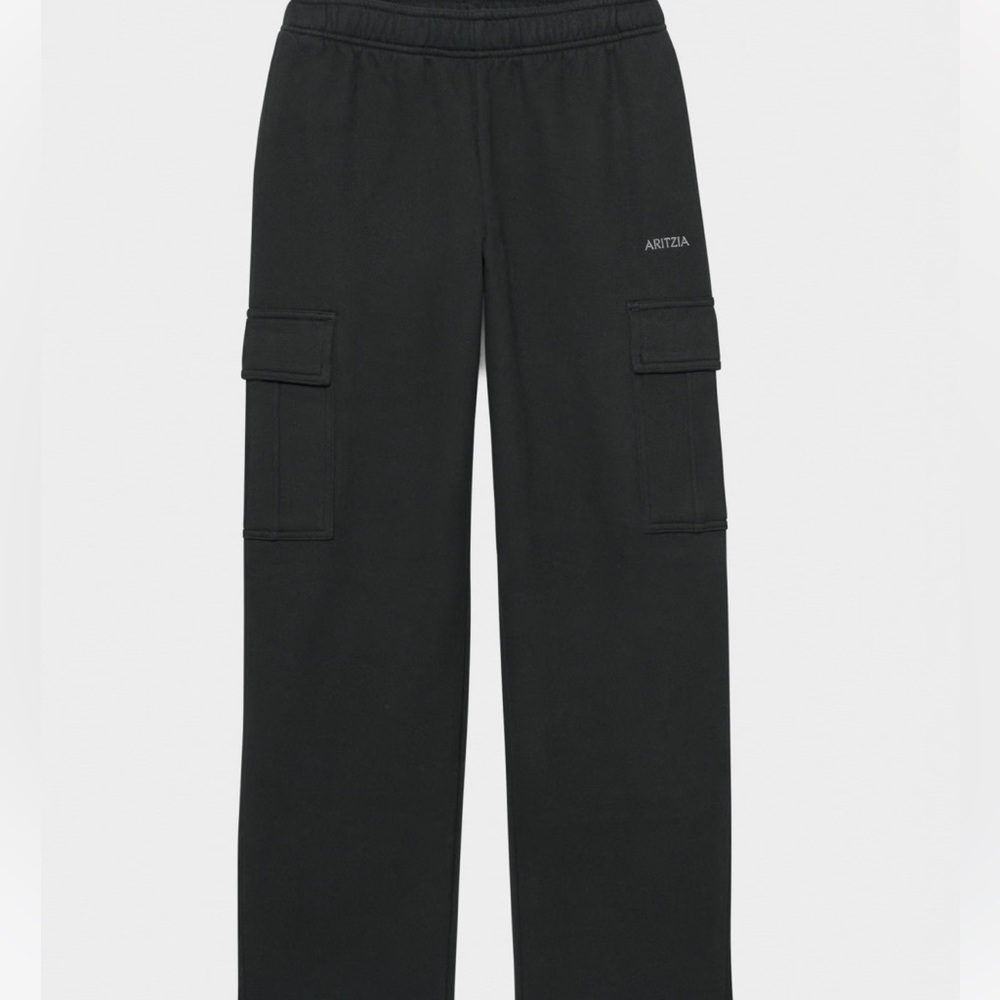 Aritzia mega cargo sweatpants
